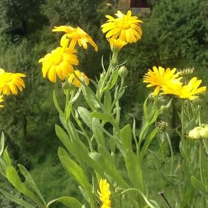 Meet your Posher, Patricia.